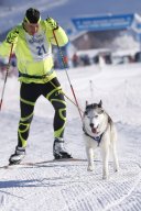 Lenk 2013